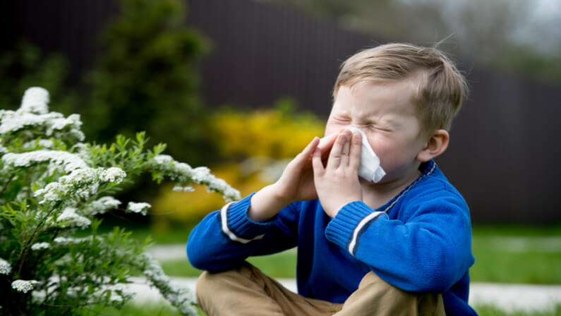 child having hay fever
