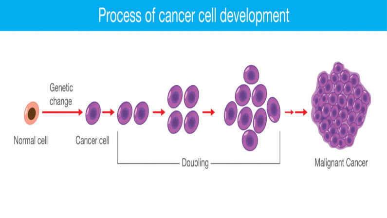 How To Lower The Risk Of Cancer: Helpful Tips You Can Follow