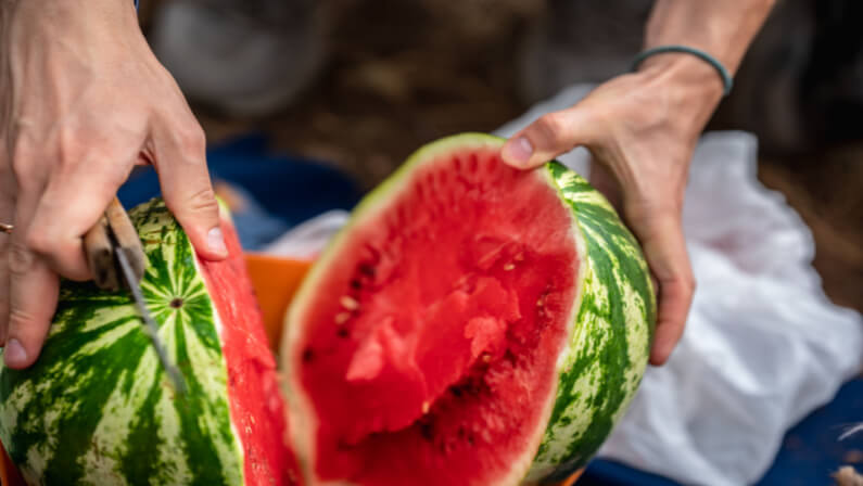 eating watermelon