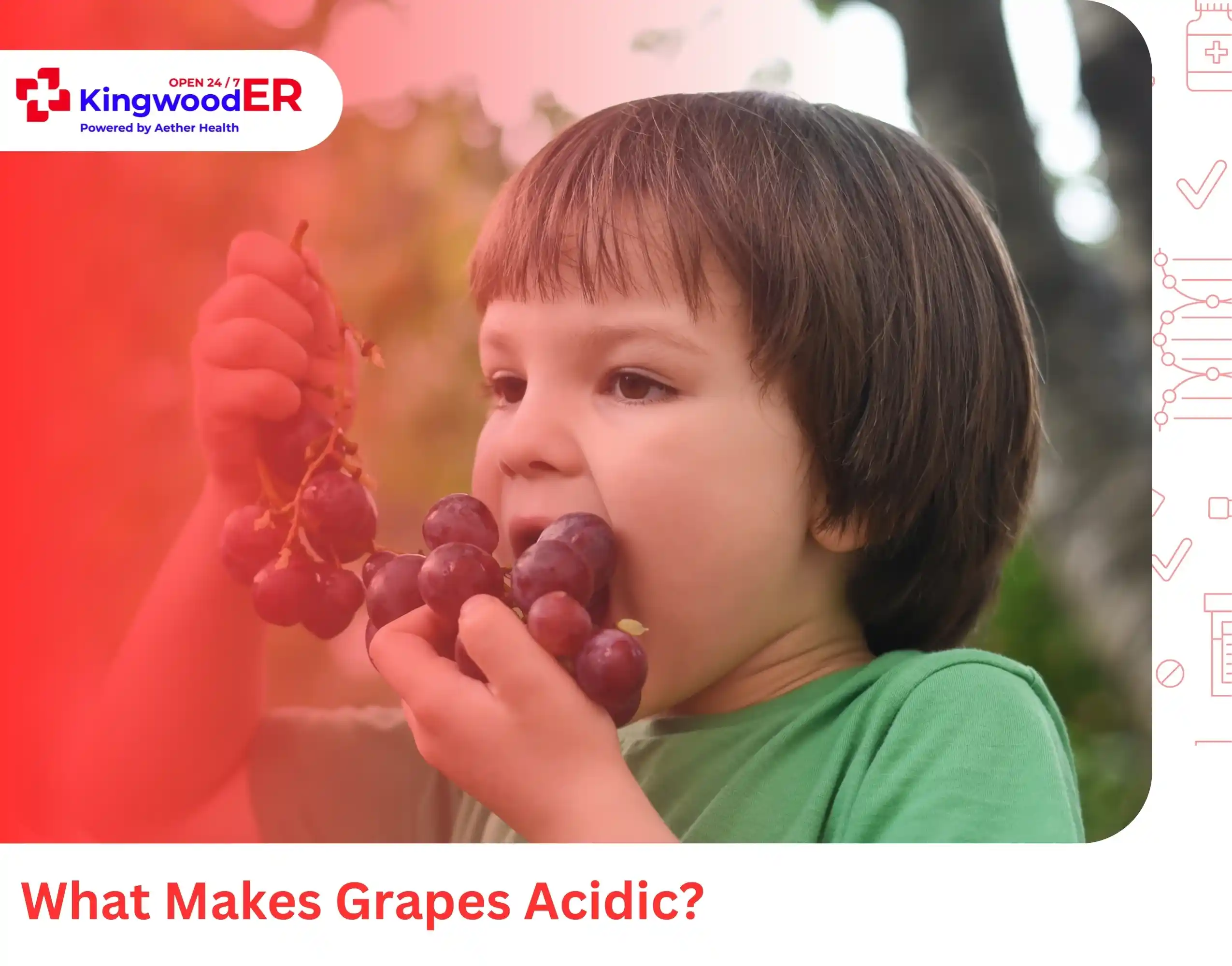 What Makes Grapes Acidic