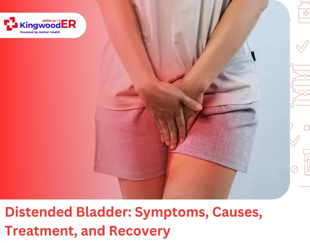 Distended Bladder
