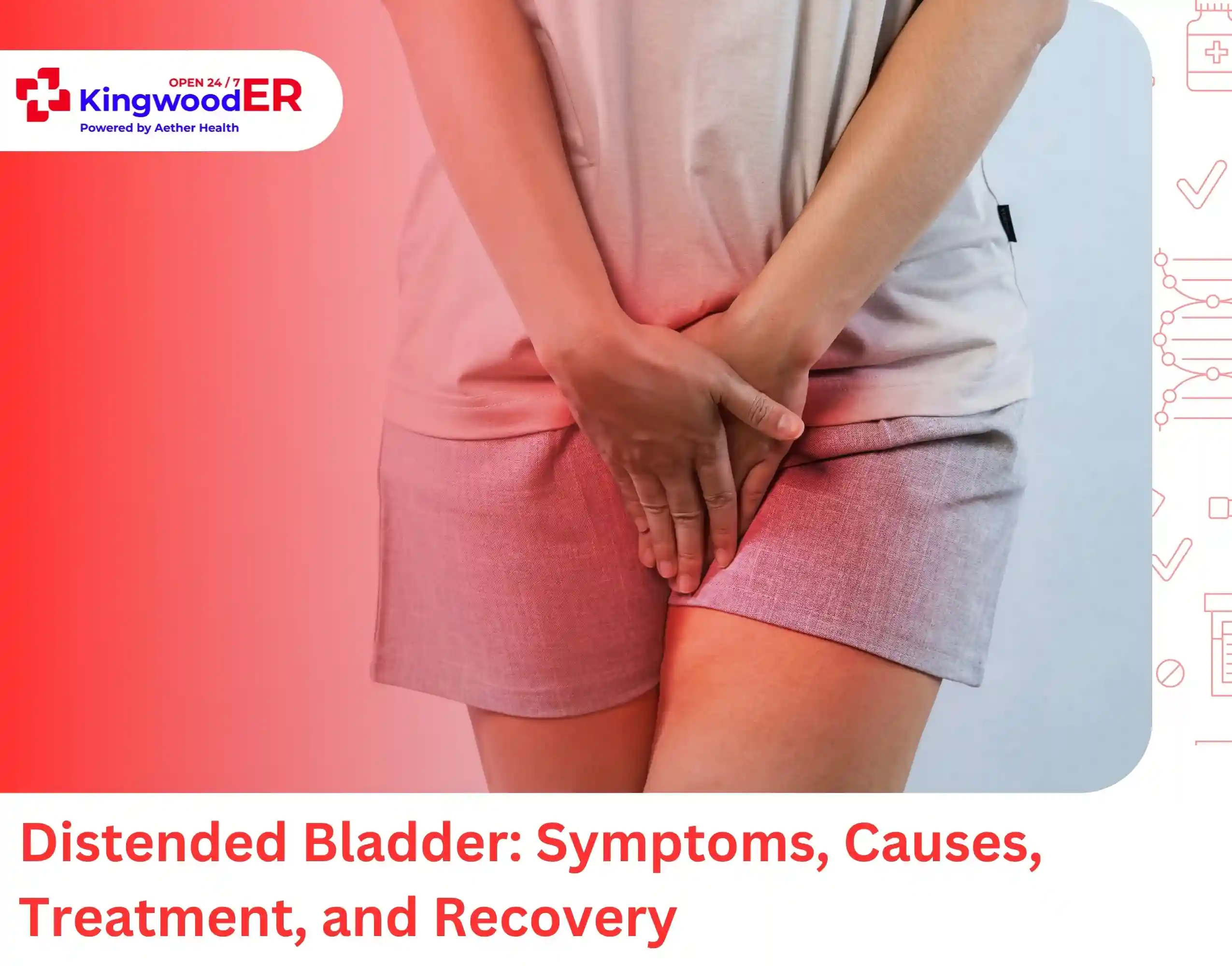 Distended Bladder